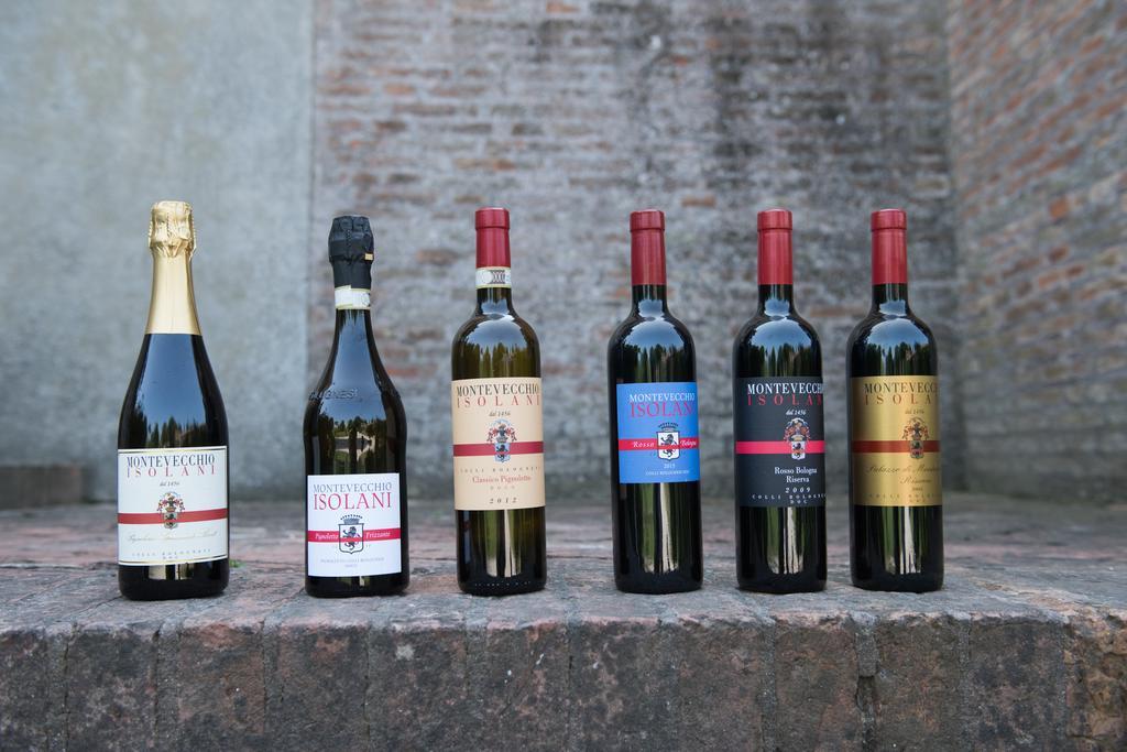 Agriturismo Montevecchio Isolani 몬테산피에트로 외부 사진