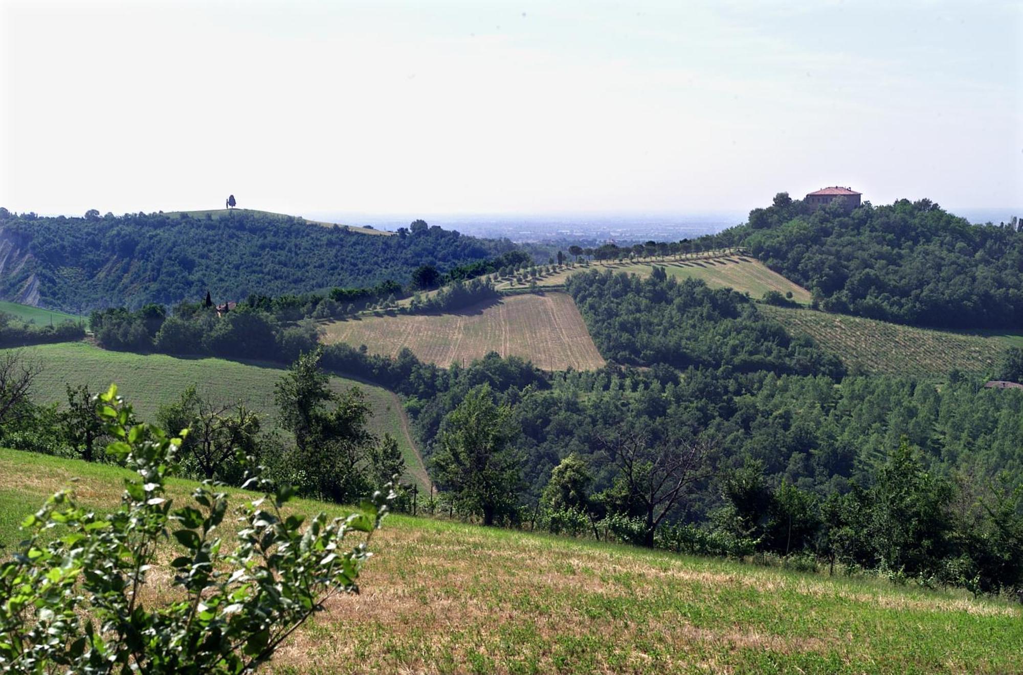 Agriturismo Montevecchio Isolani 몬테산피에트로 외부 사진