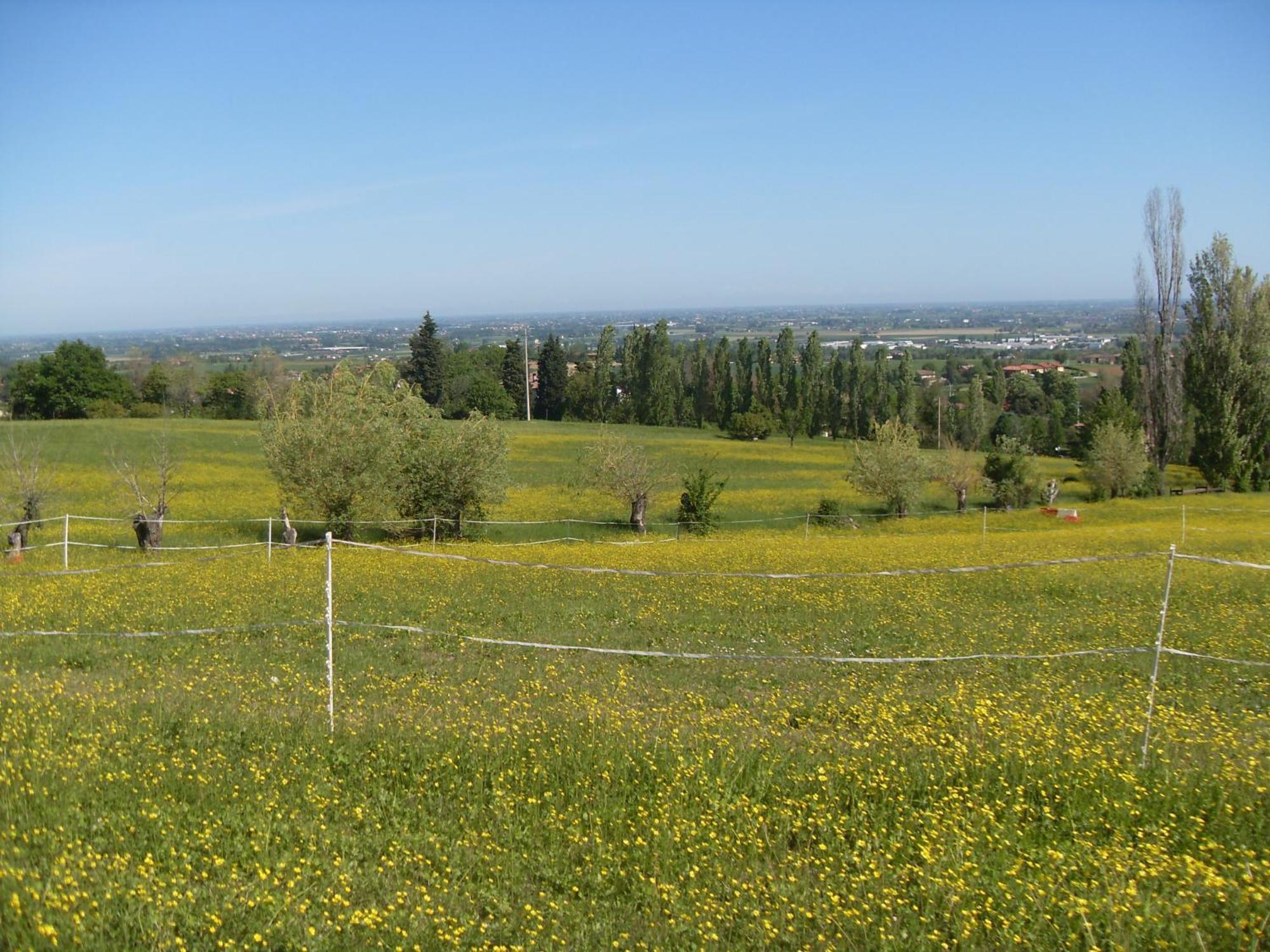 Agriturismo Montevecchio Isolani 몬테산피에트로 외부 사진