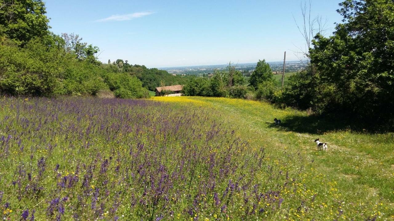 Agriturismo Montevecchio Isolani 몬테산피에트로 외부 사진
