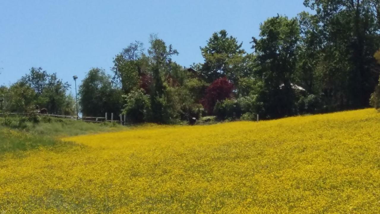 Agriturismo Montevecchio Isolani 몬테산피에트로 외부 사진